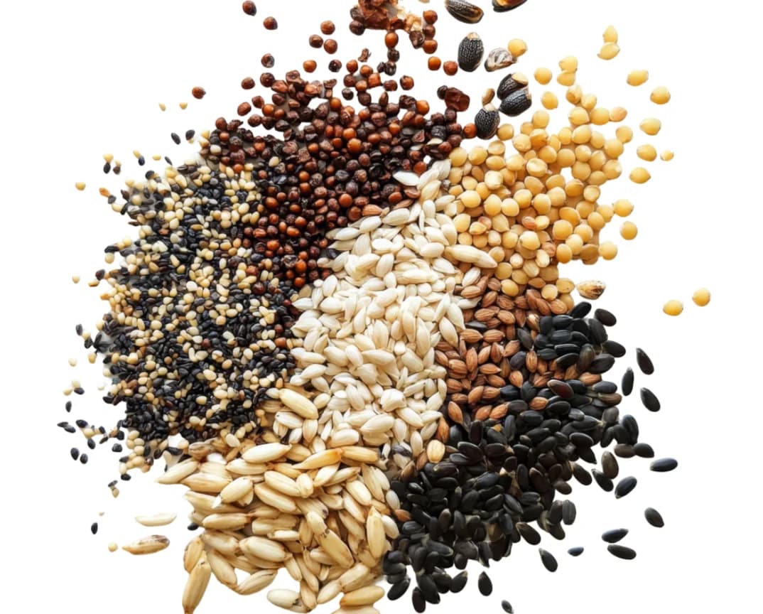 An assortment of whole grains and seeds